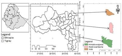 Food security intervention mechanisms in the drought-prone rural areas of Tigray